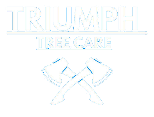 Triumph Tree Care